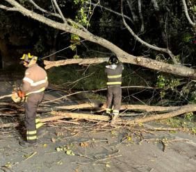 Maltempo nelle Marche: 140 interventi dei Vigili del Fuoco per il forte vento Maltempo nelle Marche: 140 interventi dei Vigili del Fuoco per il forte vento