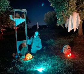 Un'intera contrada che si trasforma in 'villaggio del terrore': "Nel nostro uliveto va in scena la paura"