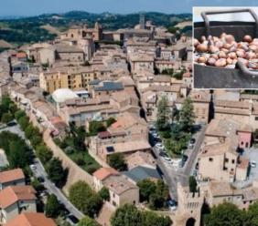 Civitanova Alta celebra storia e tradizione: camminata tra i vicoli e castagnata al Chiostro di San Francesco Civitanova Alta celebra storia e tradizione: camminata tra i vicoli e castagnata al Chiostro di San Francesco