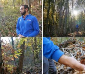 Recupero dei Castagneti Bassi a Pioraco: in autunno il bosco torna vivo tra sentieri e castagne (VIDEO) Recupero dei Castagneti Bassi a Pioraco: in autunno il bosco torna vivo tra sentieri e castagne (VIDEO)