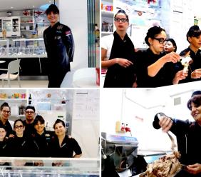 Tutto Gelato festeggia 40 anni: "Una storia nata dal coraggio di due donne. La nostra è un'arte in continua evoluzione" (FOTO e VIDEO) Tutto Gelato festeggia 40 anni: "Una storia nata dal coraggio di due donne. La nostra è un'arte in continua evoluzione" (FOTO e VIDEO)