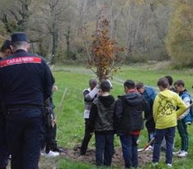Valfornace celebra la "Festa dell'Albero": un impegno per il futuro verde con le scuole Valfornace celebra la "Festa dell'Albero": un impegno per il futuro verde con le scuole