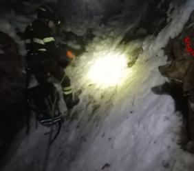 Sarnano, finiscono in un canalone mentre inseguono un cinghiale: salvati due cani da caccia Sarnano, finiscono in un canalone mentre inseguono un cinghiale: salvati due cani da caccia