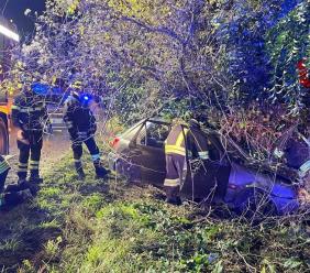 Treia, auto contro un albero in contrada Camporota: donna estratta dai Vigili del fuoco Treia, auto contro un albero in contrada Camporota: donna estratta dai Vigili del fuoco
