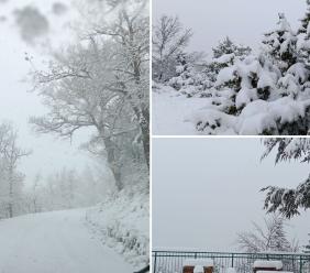 Colpo di coda dell’inverno sui Sibillini: torna la neve tra Macereto e Bolognola Colpo di coda dell’inverno sui Sibillini: torna la neve tra Macereto e Bolognola