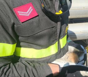 Gattino bloccato nella conduttura all'Ast di Macerata: intervengono i Vigili del fuoco Gattino bloccato nella conduttura all'Ast di Macerata: intervengono i Vigili del fuoco