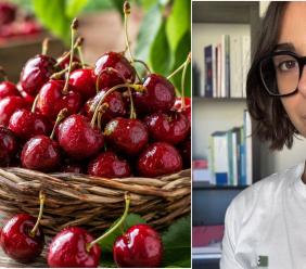 "Una tira l'altra": le ciliegie sono la migliore tentazione della primavera "Una tira l'altra": le ciliegie sono la migliore tentazione della primavera