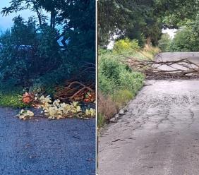 Maltempo Marche, oltre 75 interventi dei Vigili del Fuoco tra Fermo e Macerata per rami e alberi caduti