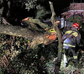 Maltempo nelle Marche, quasi 300 interventi dei vigili del fuoco. Piergallini: "Subito lo stato di emergenza" Maltempo nelle Marche, quasi 300 interventi dei vigili del fuoco. Piergallini: "Subito lo stato di emergenza"