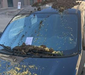 Macerata, auto imbrattata con terriccio in via Severini: nel mirino una vettura parcheggiata