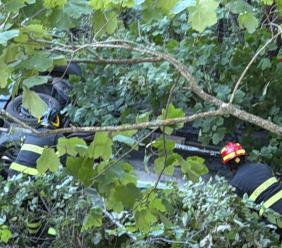 Matelica, auto esce di strada e finisce nel bosco dopo un volo di 20 metri Matelica, auto esce di strada e finisce nel bosco dopo un volo di 20 metri