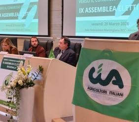 Caro carburante, agricoltura e pesca marchigiane in ginocchio: “Così non possiamo più fare reddito”