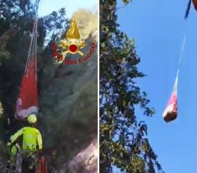 Fiastra, bovino finisce in un dirupo sul Monte Ragnolo: recuperato in elicottero dai vigili del fuoco (VIDEO)