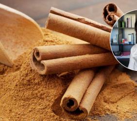 Cannella, benefici e proprietà della spezia autunnale per eccellenza