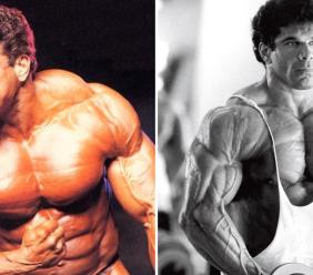 Lou Ferrigno ad Apiro: l'Incredibile "Hulk" da Panatta per un tuffo nel mondo del fitness Lou Ferrigno ad Apiro: l'Incredibile "Hulk" da Panatta per un tuffo nel mondo del fitness