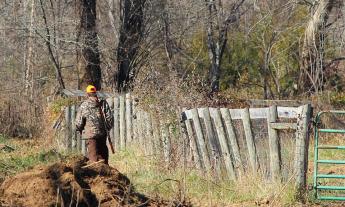 Marche: "Consiglio di Stato sospende la chiusura anticipata della caccia a beccacce e turdidi