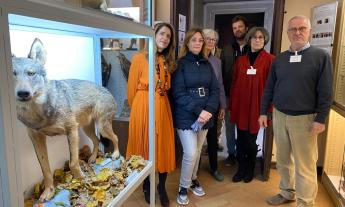 Macerata, donato un esemplare di lupo appenninico al Museo di Storia Naturale