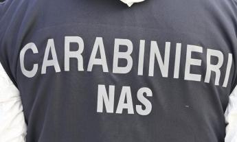 Tolentino, controllo dei Nas nelle mense scolastiche: "Riscontrate solo irregolarità amministrative"