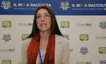 Nasce la Commissione Unica Nazionale del grano duro: "Una vittoria per gli agricoltori marchigiani"