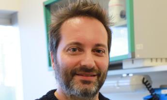 "Dormire poco rallenta il cervello": lo studio Unicam pubblicato su Pnas