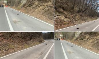 Sarnano, senso unico alternato sulla ex SS78. Merli:  "Oltre 180 giorni di disagi e nessuna risposta”