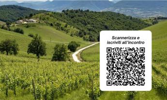 Sinclinale Camerte: workshop culinario a Castelraimondo per valorizzare il Verdicchio di Matelica