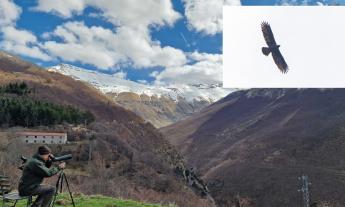 Sulle vette dei Sibillini tornano a contarsi le aquile: concluso il censimento dei record