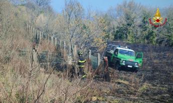 San Severino, sterpaglie a fuoco in località Pitino: brucia un ettaro di terreno