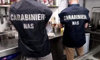 Formiche sui piani di lavoro e carcassa di topo: chiuso ristorante chalet a Civitanova