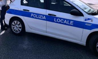 Macerata, capriolo sbuca all'improvviso e viene investito da un'auto