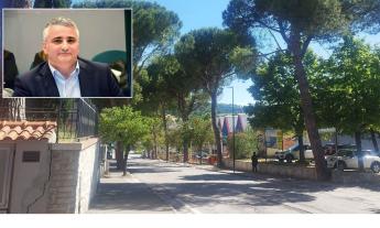 Tolentino, alberi da abbattere in viale della Repubblica. Bisonni attacca: "Più motoseghe che trasparenza"