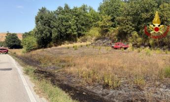 Cingoli, incendio di sterpaglie: intervento dei vigili del fuoco