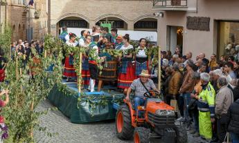 Montecassiano, tornano i Sughitti: tre giorni di sagra tra briscola, vendemmia, sbandieratori e musica