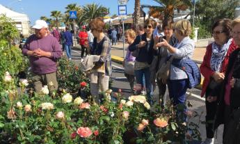 Dalla primavera all'autunno, la mostra mercato raddoppia: a Civitanova due giorni dedicati al verde