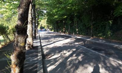 Il tratto finale di viale Indipendenza con i lavori “in corso” il giorno 10 agosto che impediscono il passaggio degli autobus