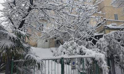 Macerata