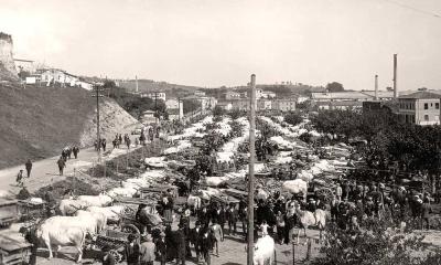 L'antico mercato di bestiame al Foro Boario in uno scatto del 1929