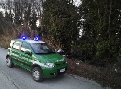 Orrore a Scossicci: cani trucidati e decapitati abbandonati in una scarpata