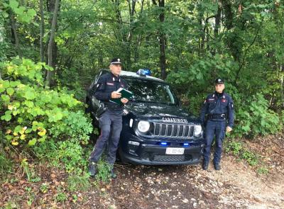 Ruba tartufi con i cani in un'area protetta: denunciato un uomo