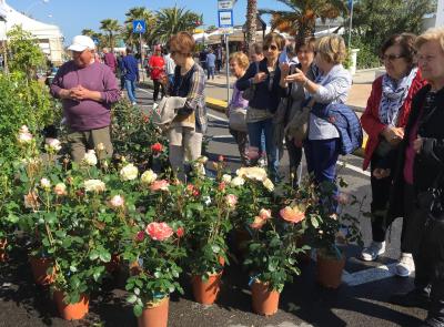 Dalla primavera all'autunno, la mostra mercato raddoppia: a Civitanova due giorni dedicati al verde