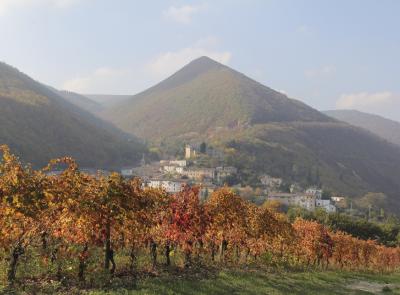 Serrapetrona ospita l’incontro su marchi, brevetti e vino: focus sui giovani e sul Made in Italy