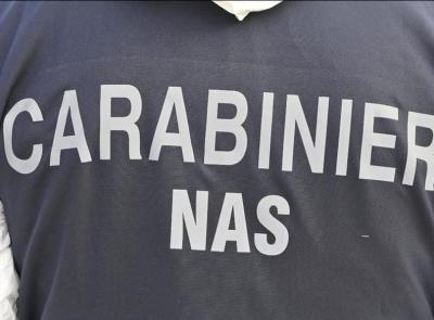Tolentino, controllo dei Nas nelle mense scolastiche: "Riscontrate solo irregolarità amministrative"