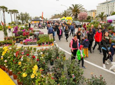 Civitanova, "Il mare in fiore": sul lungomare Piermanni torna la mostra mercato