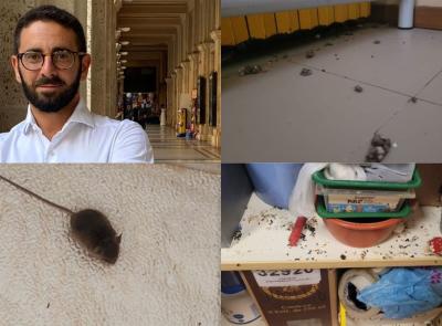 Macerata, topi nelle scuole. Perticarari pubblica le foto: "Mi sembra assurdo debba chiedere scusa io"