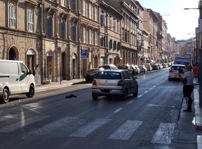 Macerata, travolto da un'auto in pieno centro: uomo trasportato all'ospedale