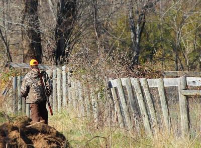 Sequestrati nel Maceratese sei richiami acustici per quaglie: "Condanniamo atti di bracconaggio"