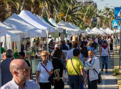 Civitanova, il lungomare si trasforma in orto botanico: torna con la versione autunnale "Il Mare in Fiore"