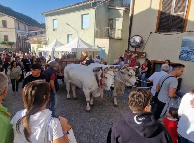 Dallo street food al labirinto di paglia: a Cessapalombo "Antichi sapori e ricchezze del bosco"