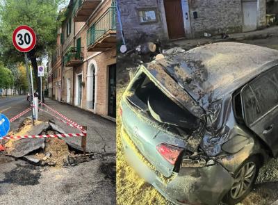 Macerata - Pino crollato a Santa Croce, i cittadini: "Problema segnalato da mesi, mai ricevuto risposta"