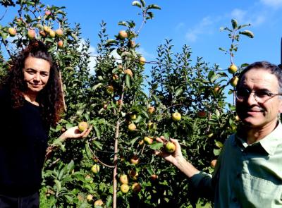 Monte San Martino, tornare nel passato e assaporarlo? All'Azienda Gobbi si può: viaggio tra i meleti antichi (FOTO e VIDEO)